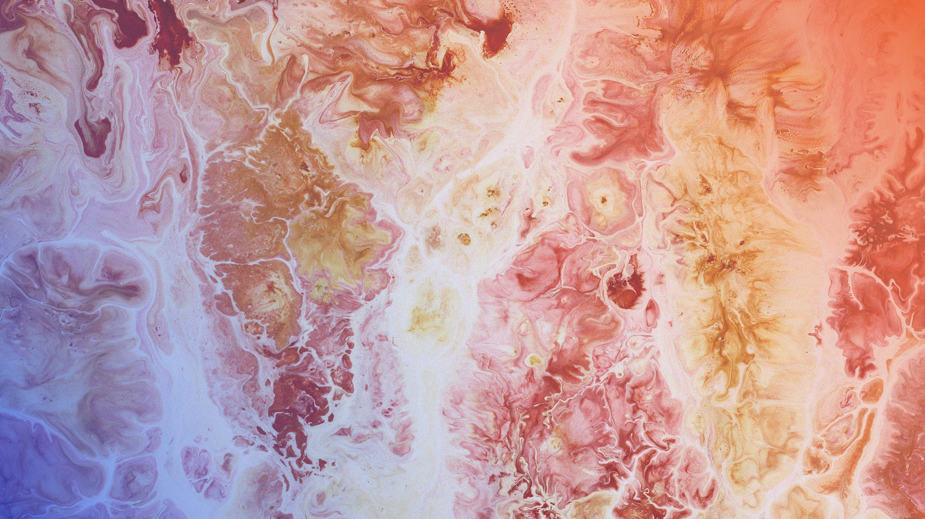 Fungal Infections.